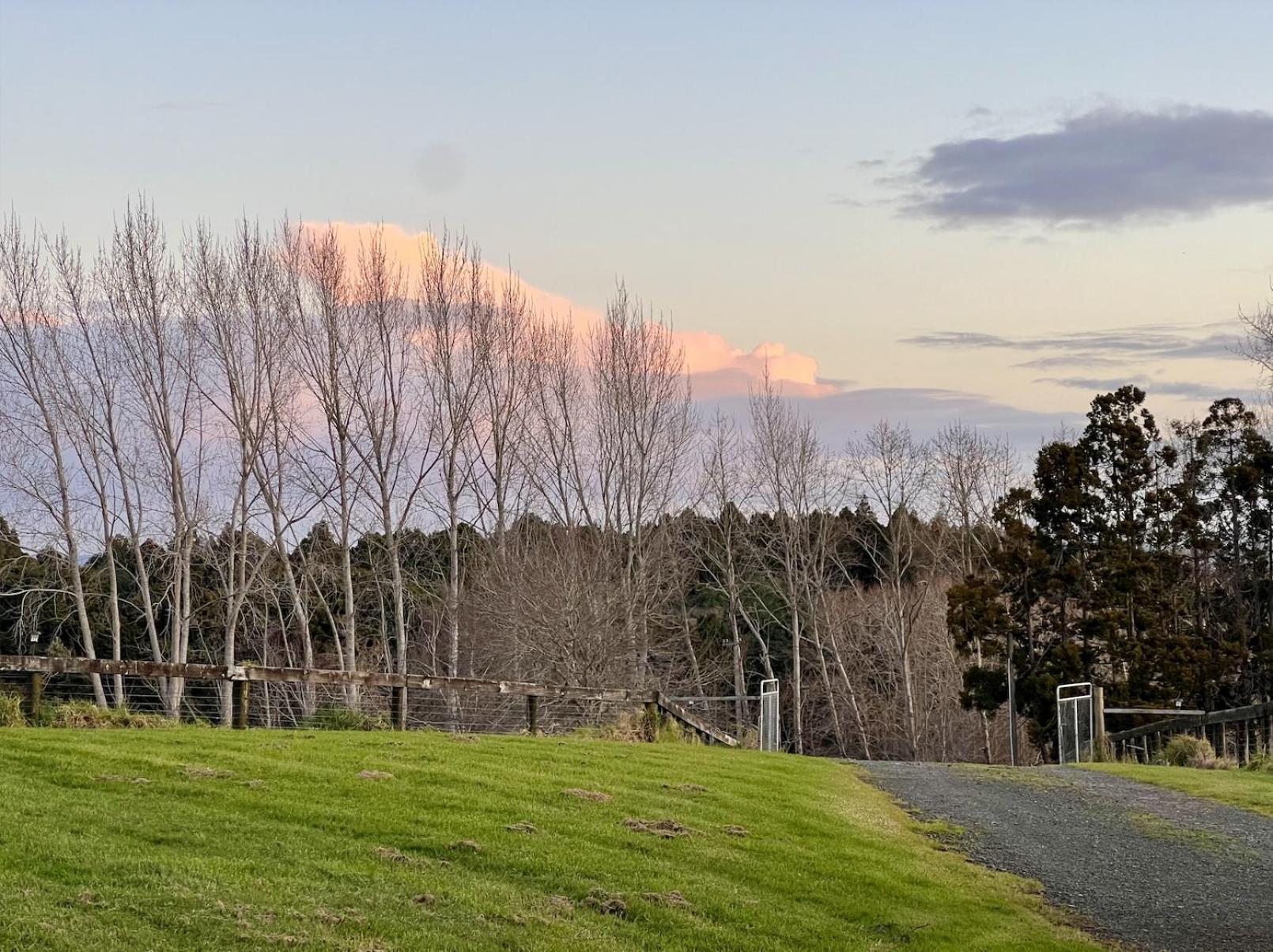 Ranfurly Holiday Home オークランド エクステリア 写真